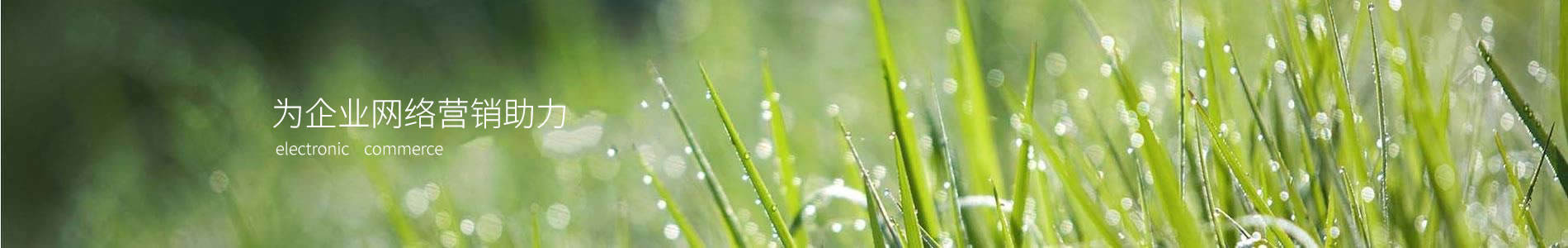 ݴƻе޹˾